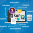 What is a SAP software and how is it useful for your organization?