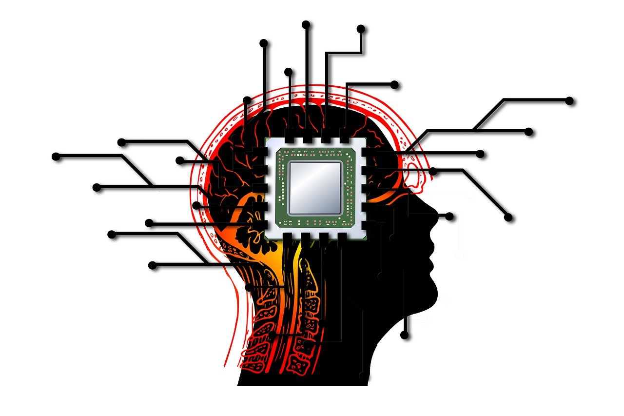 What is a Central Processing Unit?